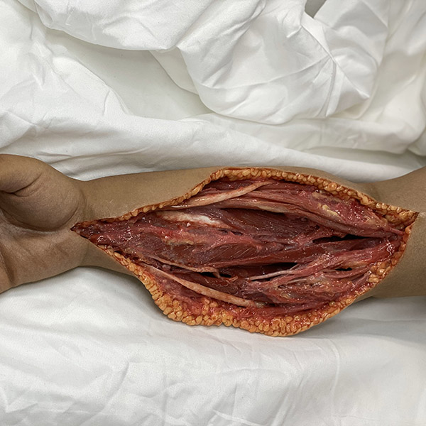 IMG_9862_thumbnail-1